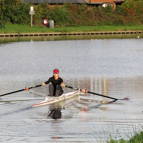 aviron