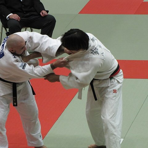 judo