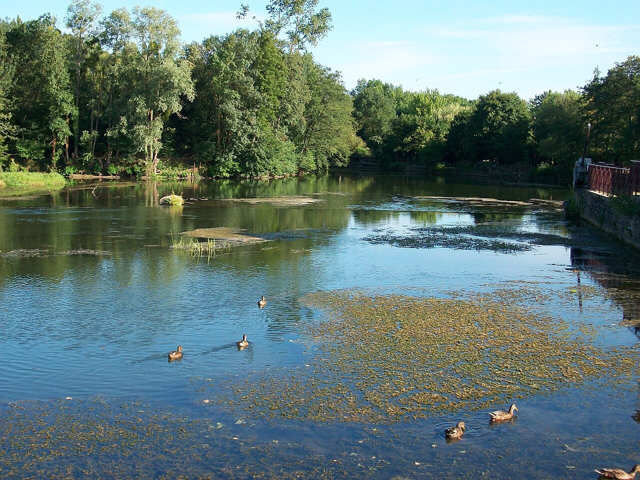 Visite guidée : La Maison de l'eau, c'est toute une histoire !