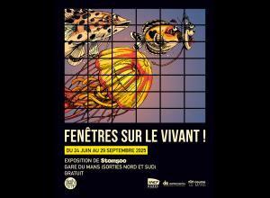 Fenêtres sur le Vivant ! - Stom500