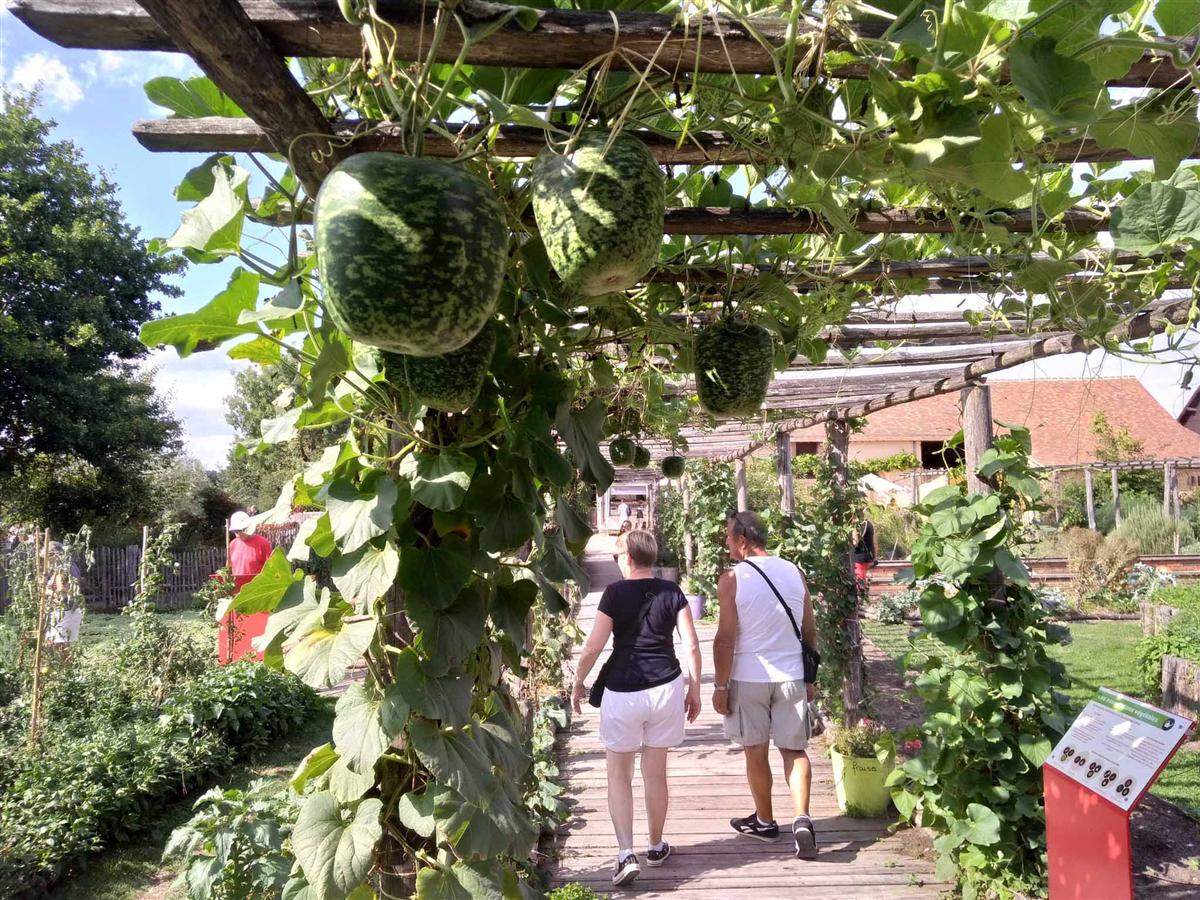 Fête du jardin à l'Arche de la Nature