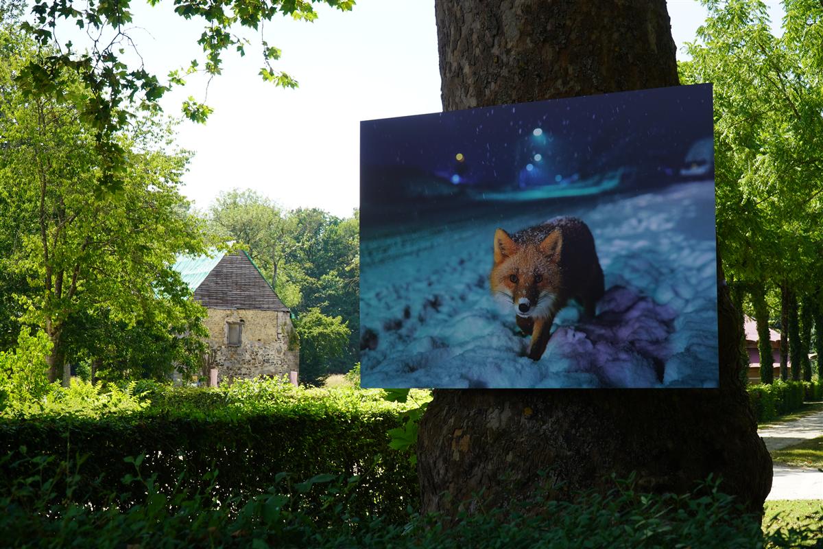 La photographie à l'Épau — Parcours photographique à ciel ouvert