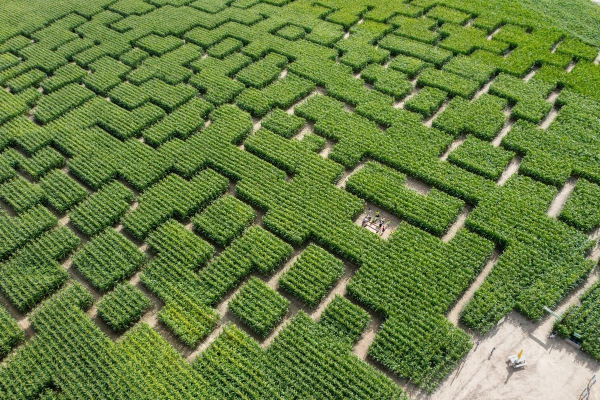 Pop Corn Labyrinthe Le Mans