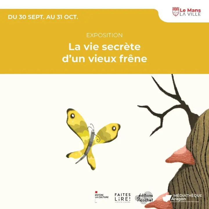 La vie secrète d'un vieux frêne