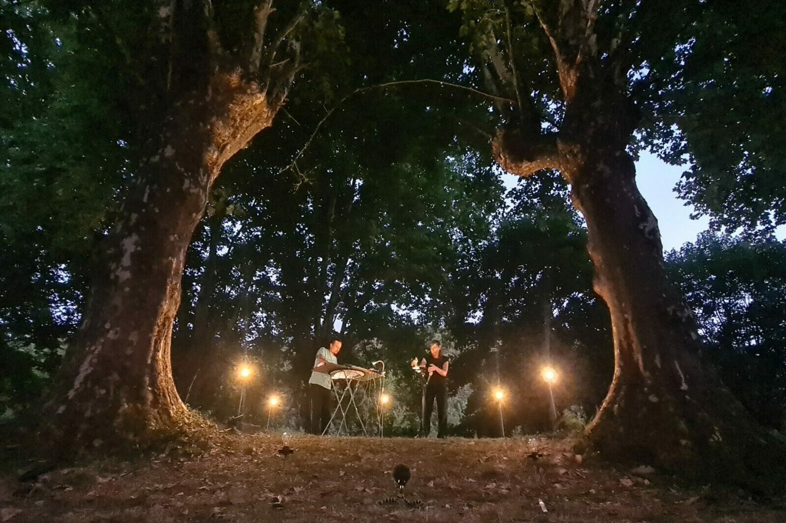 Compagnie Organic Orchestra — photo 1 sur 1