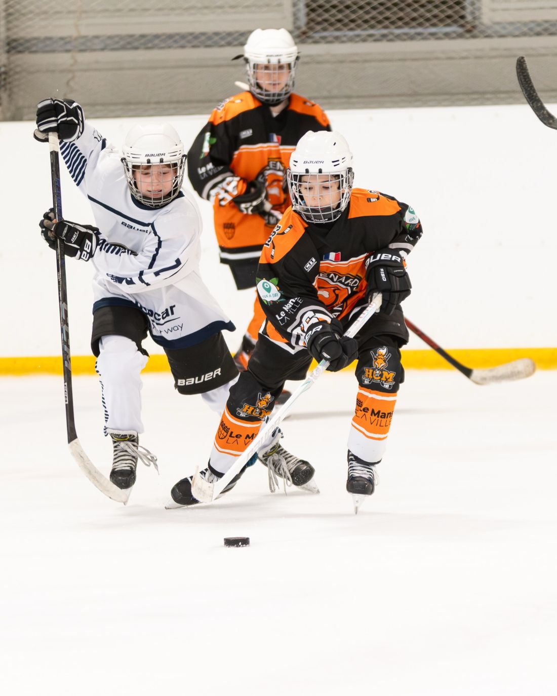 Hockey sur glace U13 : Le Mans – Cholet