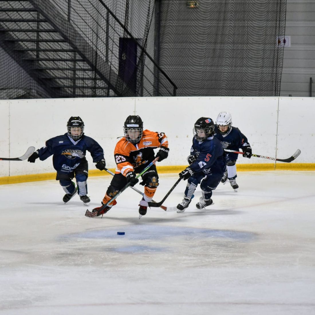 Plateau de hockey U7 à CityGlace