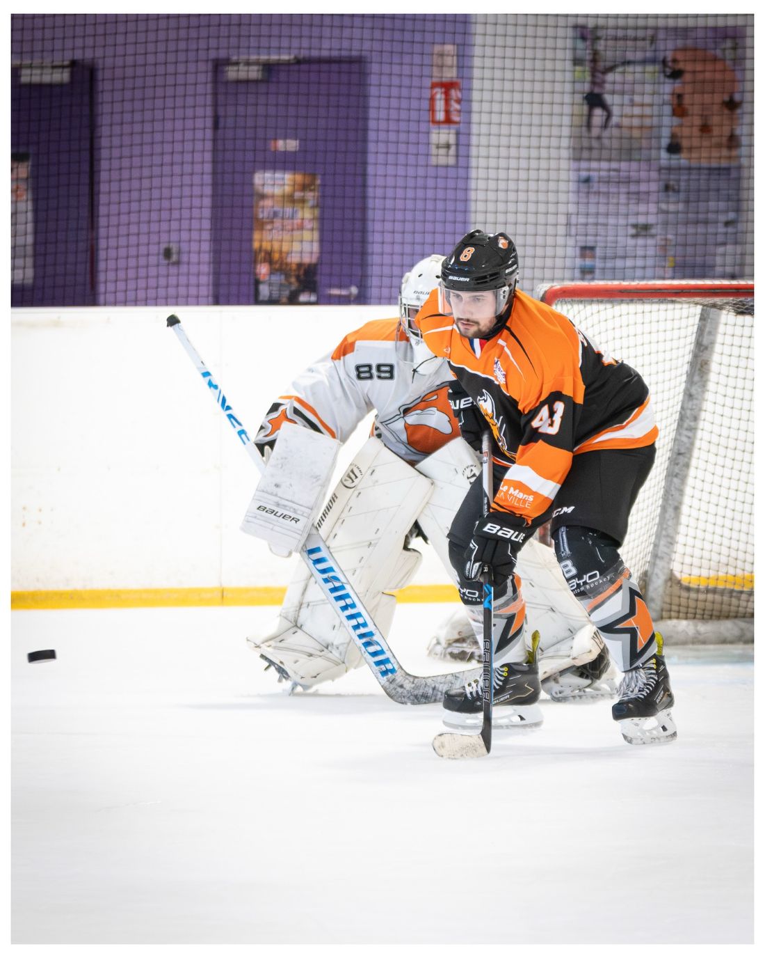 Hockey sur glace : Les Renards du Mans – Poitiers (Seniors B)